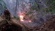 Cidade fica encoberta por fumaça de incêndio em vegetação no Bosque do Índio
