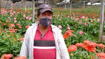 mqn-“Chucho” nació para trabajar con flores-220921