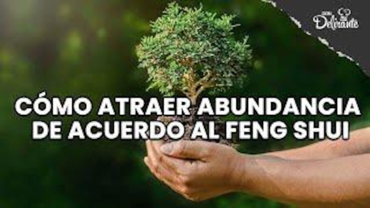 Cómo atraer abundancia de acuerdo al Feng Shui. | Cocina Delirante