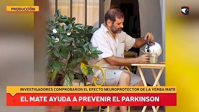 Un estudio reveló que el mate ayuda a prevenir el Parkinson
