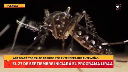 El 27 de septiembre iniciará la XXIV edición del Programa LIRAa en Posadas