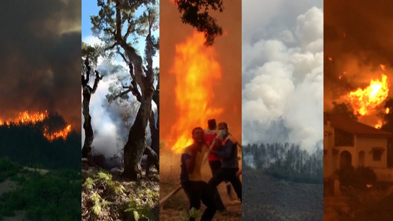 Climate change fuels more frequent, more severe wildfires around the world