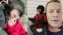 'Caring Tennessee man treats rescued spider monkey like his own kid'