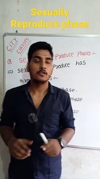 Sexually Reproduces phases | sexually reproduces phases in Hindi | sexually reproduces phases biology #cityclasses