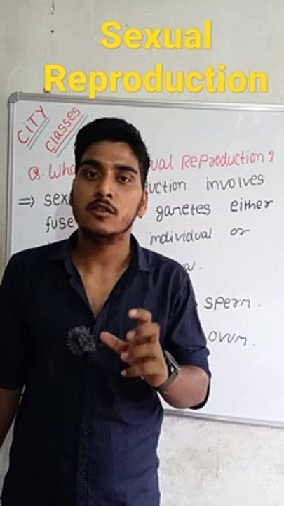 Sexual Reproduction | sexual reproduction in Hindi | sexual Reproduction biology | what is sexual Reproduction #cityclasses