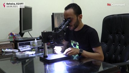 شاهد: فنان مصري ينحتُ مجسّماتٍ "مجهرية" لأبرز معالم الآثار الفرعونية