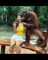 Mau ketawa takut dosa part 7!! Kumpulan video hewan hewan lucu - Funny Animal