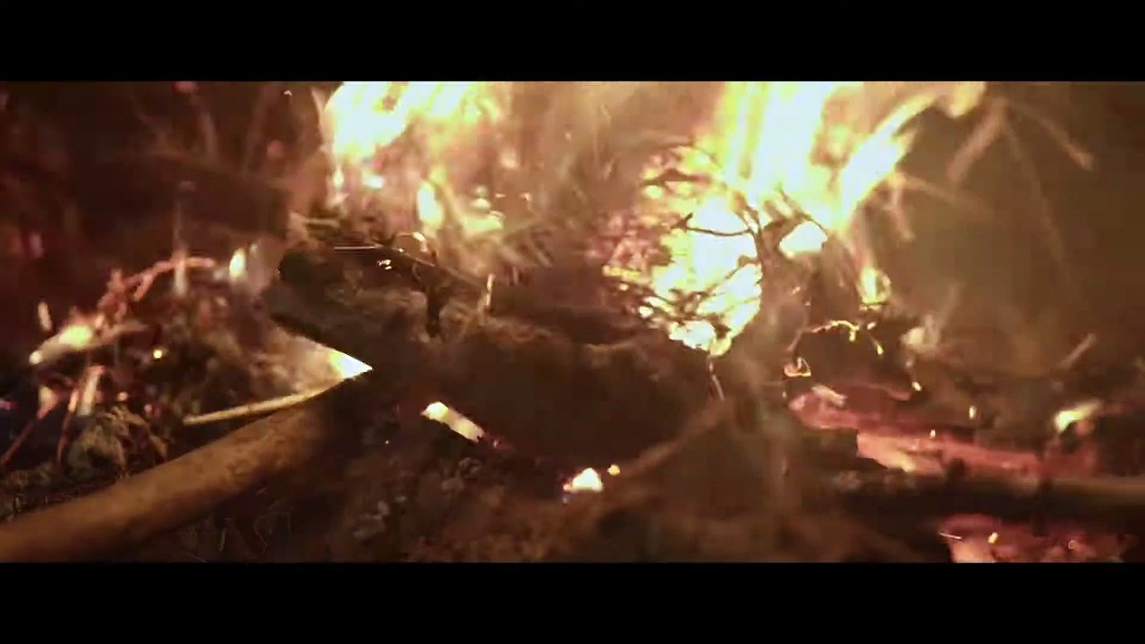 ZORN DER BESTIEN Film