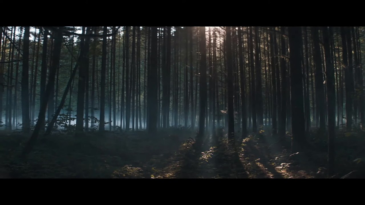 Pig Film mit Nicolas Cage