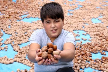 Kahramanmaraş'tan 10 bin ton tescilli ceviz ihracatı