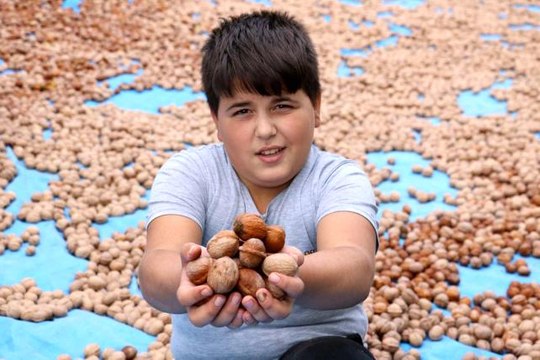 Kahramanmaraş'tan 10 bin ton tescilli ceviz ihracatı