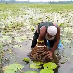 Polo Fishing - Fishing with Bamboo Tools - Awesome Traditional Fishing- Fishing with Polo