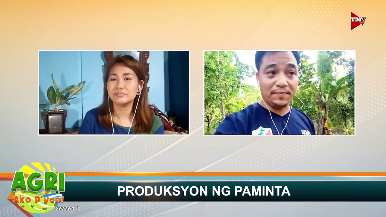 Produksyon ng Paminta