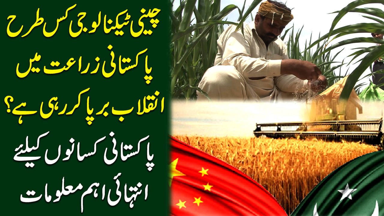 Cheeni technology kis trah Pakistani zaraat mein inqilab barpa kar rhi hai? Pakistani kisano k liye intehai ahem maloomat