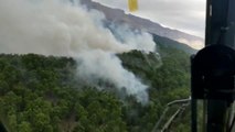 Son dakika haberleri... Manavgat'ta çıkan orman yangınına müdahale ediliyor