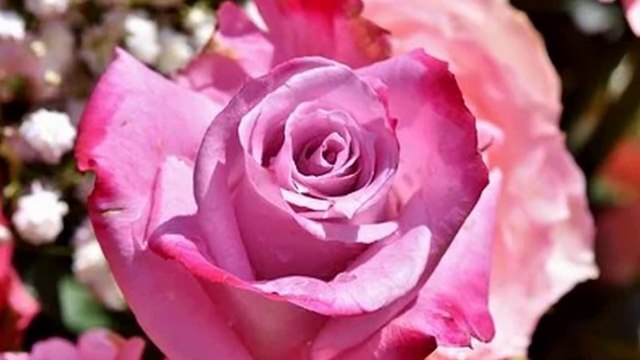 How to remove black heads || How to increase whitening || How to remove dark circle ||100% Working Wazifa For Beauty || Chehre ki khubsurti ka Asan Wazifa ll Wazifa for face whitening ll A very beautiful wazifa || Roona4z official How to increase glow