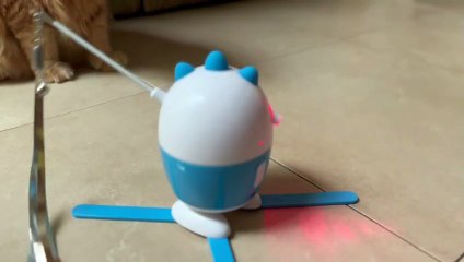 Prueba modo cinemático con animales