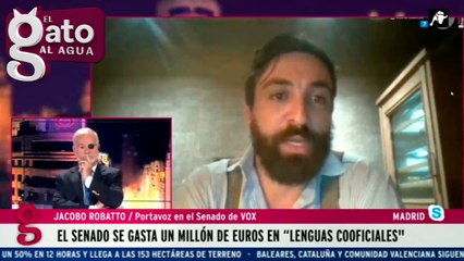El Senado se gasta un millón de euros en 'lenguas cooficiales'