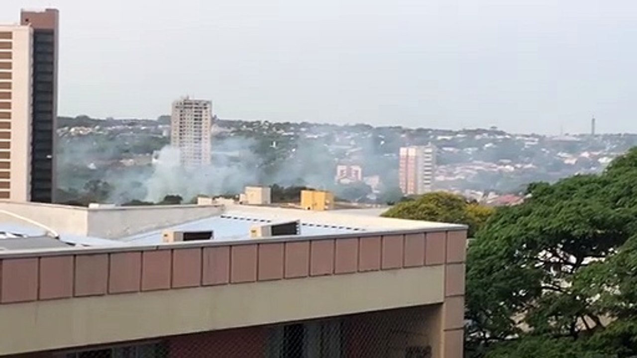 Bombeiros usaram 40 mil litros d’água no 1º dia de combate ao incêndio no bosque do Índio