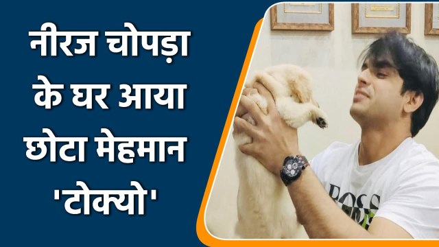 Neeraj Chopra meet Abhinav Bindra, Bindra gifted Neeraj a puppy named ‘Tokyo’ | वनइंडिया हिन्दी