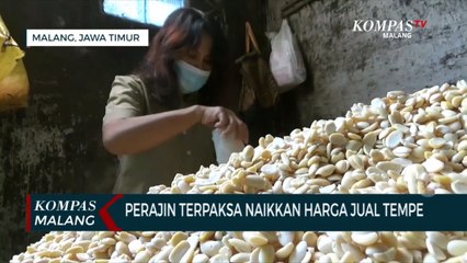 Harga Kedelai Tak Kunjung Turun, Perajin Tempe Terpaksa Naikkan Harga Jual