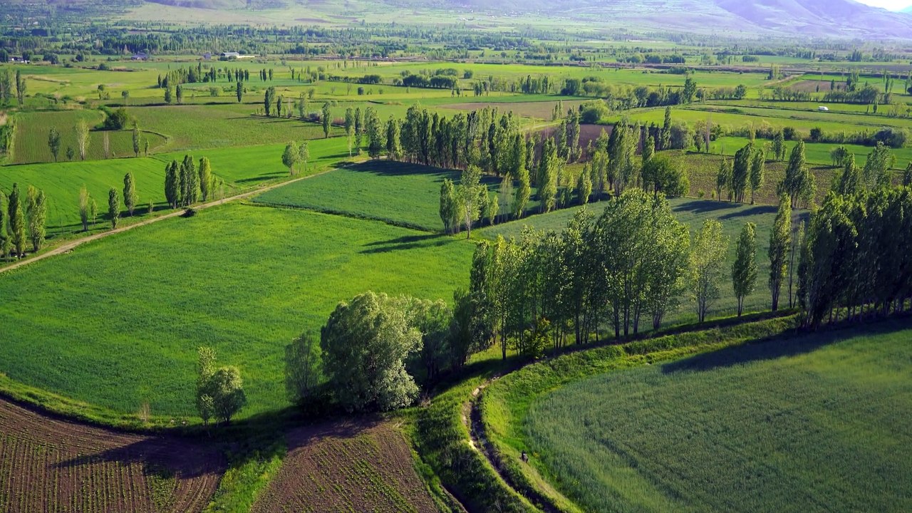 Quelles actions des collectivités pour accompagner la séquestration de carbone en agriculture ?