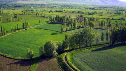 Quelles actions des collectivités pour accompagner la séquestration de carbone en agriculture ?