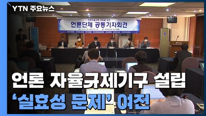 "통합형 언론자율규제기구 설립"...'실효성 문제' 여전 / YTN