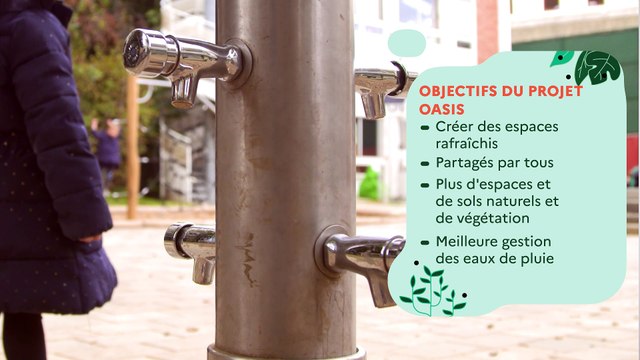 Ville de Paris : OASIS , un projet de rénovation et de désimperméabilisation des cours d’école (Partie 1 – le projet)