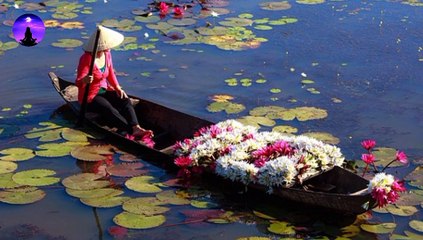 Meditation music | healing and meditation