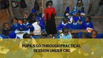 Pupils go through practical session under CBC