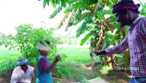 PALM LEAF CHICKEN _ Chicken Fry Recipe Cooking In Village _ Traditional Palm Lea