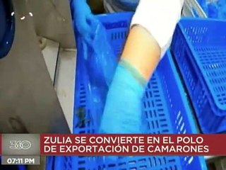 360º | Empresa CONFREMARCA incrementa la producción de camarón en Zulia con calidad de exportación
