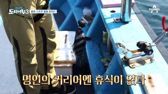 어짜피 인생은 될놈될 휴식마저 파괴하는 박진철의 돌돔 낚시