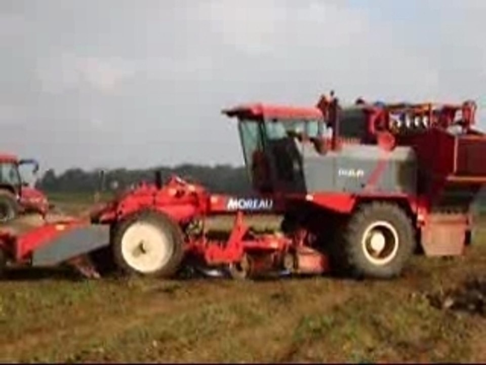 arrachage 2007