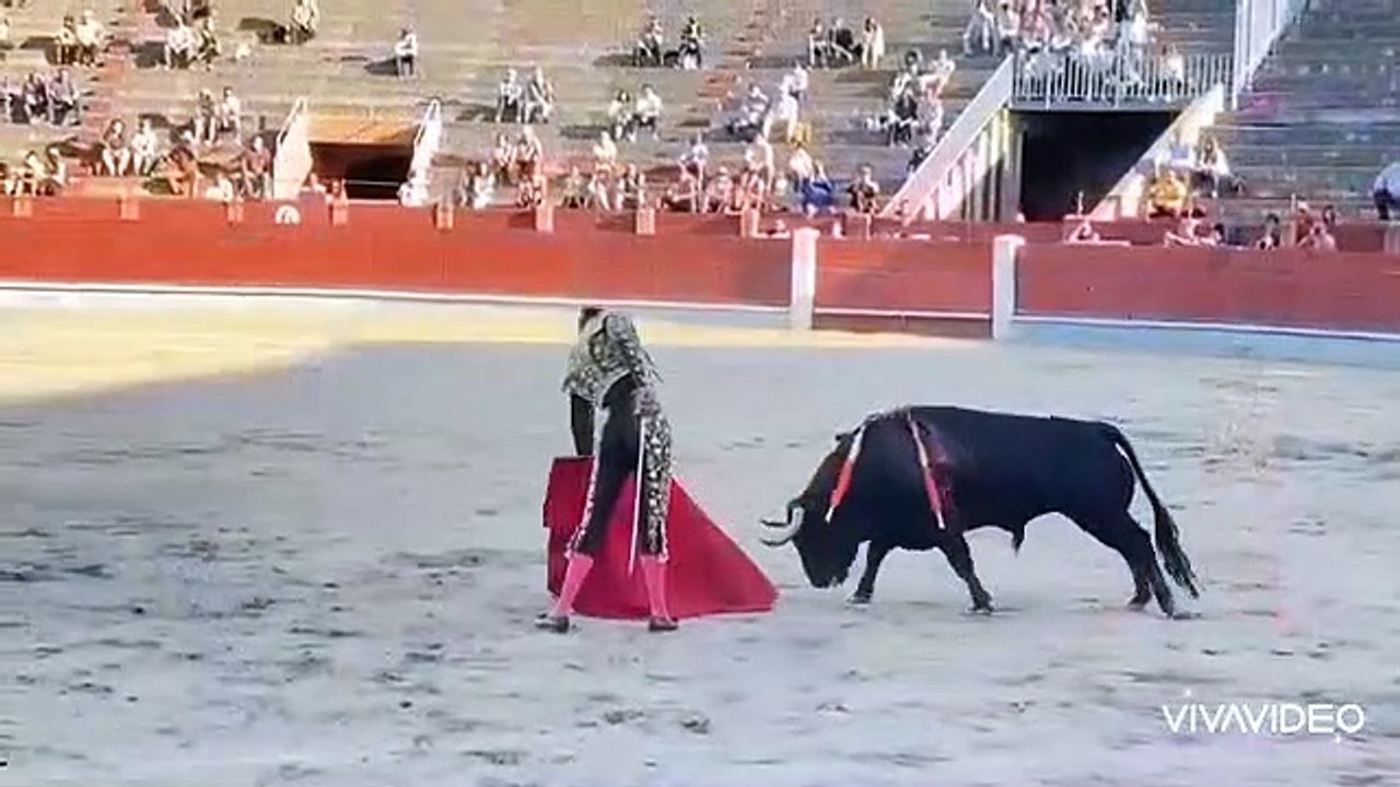 Uceda Leal segovia
