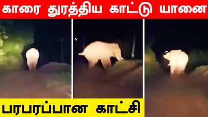 Sathyamangalam forestல் கோபமான காட்டு யானை வெறியாட்டம்  | Oneindia Tamil