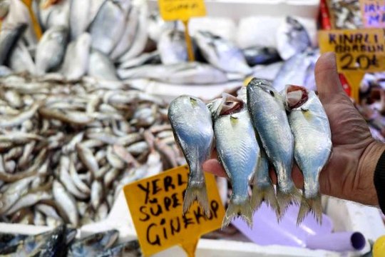 Son dakika haber | Havalar bozdu Karadeniz'de 'çinekop' patlaması yaşandı