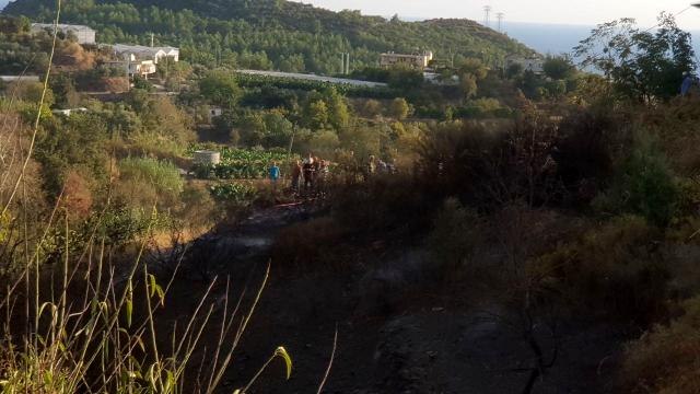 Son dakika haberleri! Alanya'da orman yangını büyümeden söndürüldü