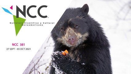 Noticiero Científico y Cultural Iberoamericano emisión 381. 27 de septiembre al 3 de octubre de 2021