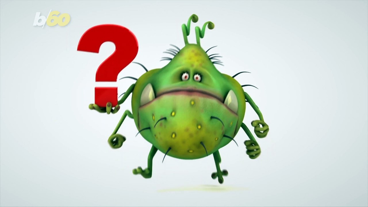 Tips on What Household Items to Clean Every Day and What Ones Can Wait Another Day