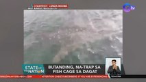 Butanding, na-trap sa fish cage sa dagat | SONA
