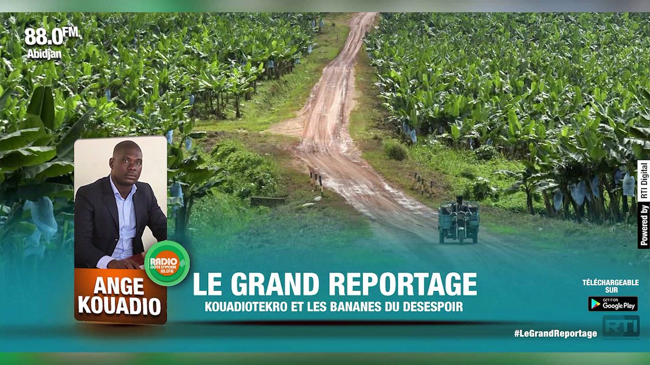 Le Grand reportage | Kouadiotékro et les bananes du désespoir par Ange KOUADIO [ Radio Côte d'Ivoire ]