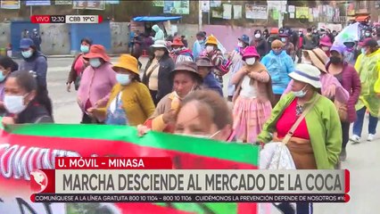 Productores de coca marchan rumbo a Adepcoca a la espera de un diálogo con el Gobierno