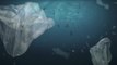 Contaminación por plástico estaría amenazando la estabilidad de los Océanos