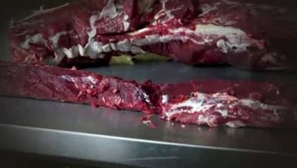 MeatEater S06E06