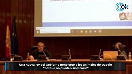 Una nueva ley del Gobierno pone coto a los animales de trabajo "porque no pueden sindicarse"