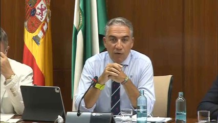 Elias Bendodo, en un momento de su comparecencia en Comisión Parlamentaria.
