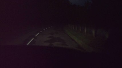 Texas Is Home to 2 of the Most Haunted Roads in America