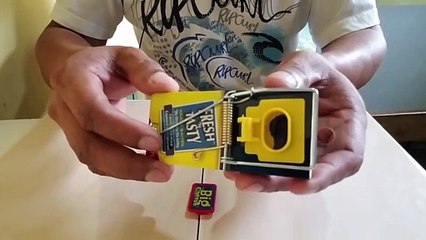 Trampa para ratones - Como activar una trampa de una manera fácil y seguro